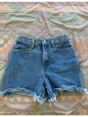Calvin Klein High-Rise Denim Shorts in Blue Vintage 11